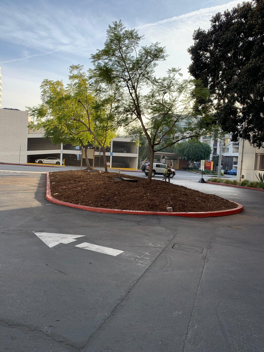Landscaping project photo 2