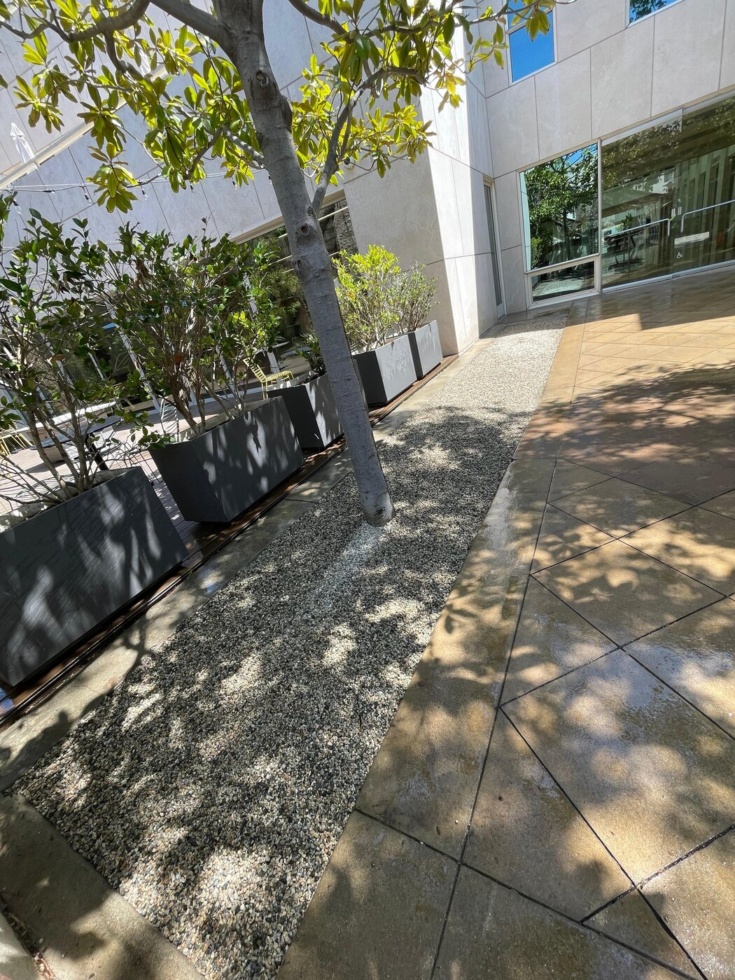 Landscaping project photo 4