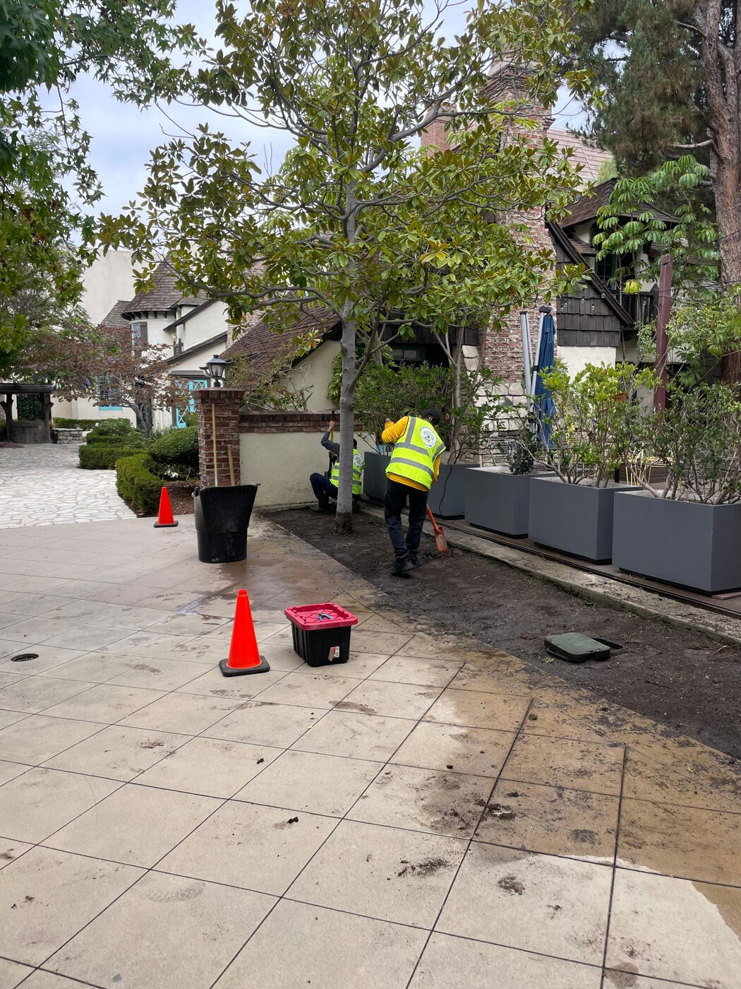 Landscaping project photo 5