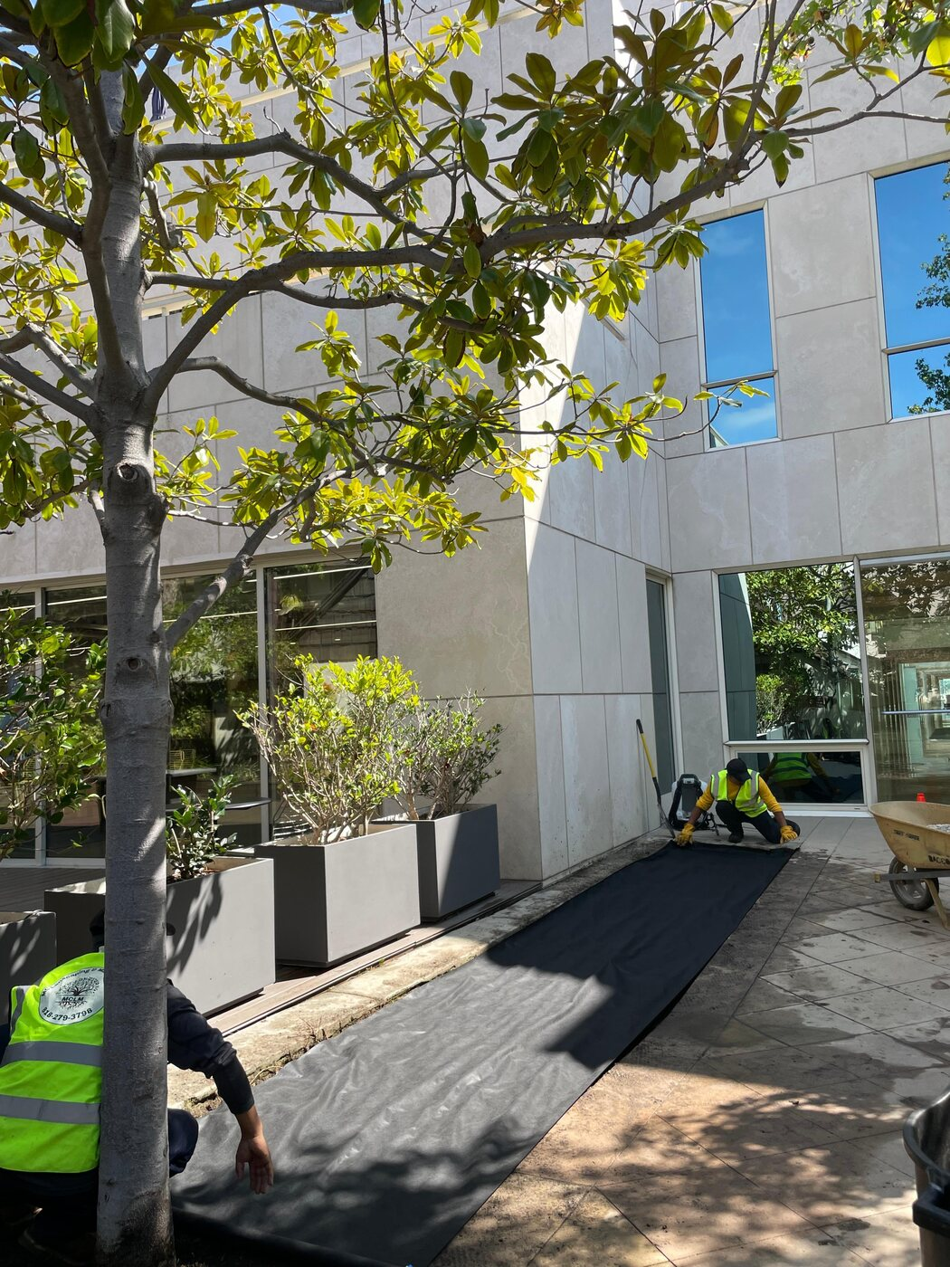 Landscaping project photo 6