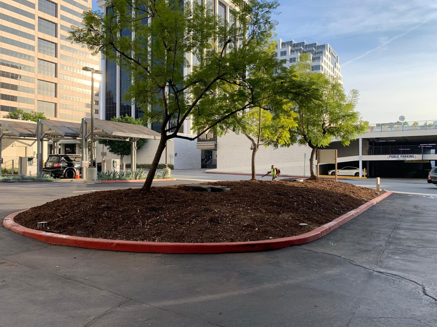 Landscaping project photo 9