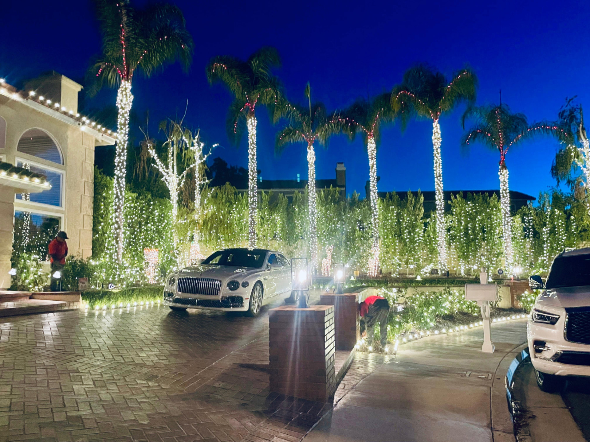 Landscape lighting project photo 5