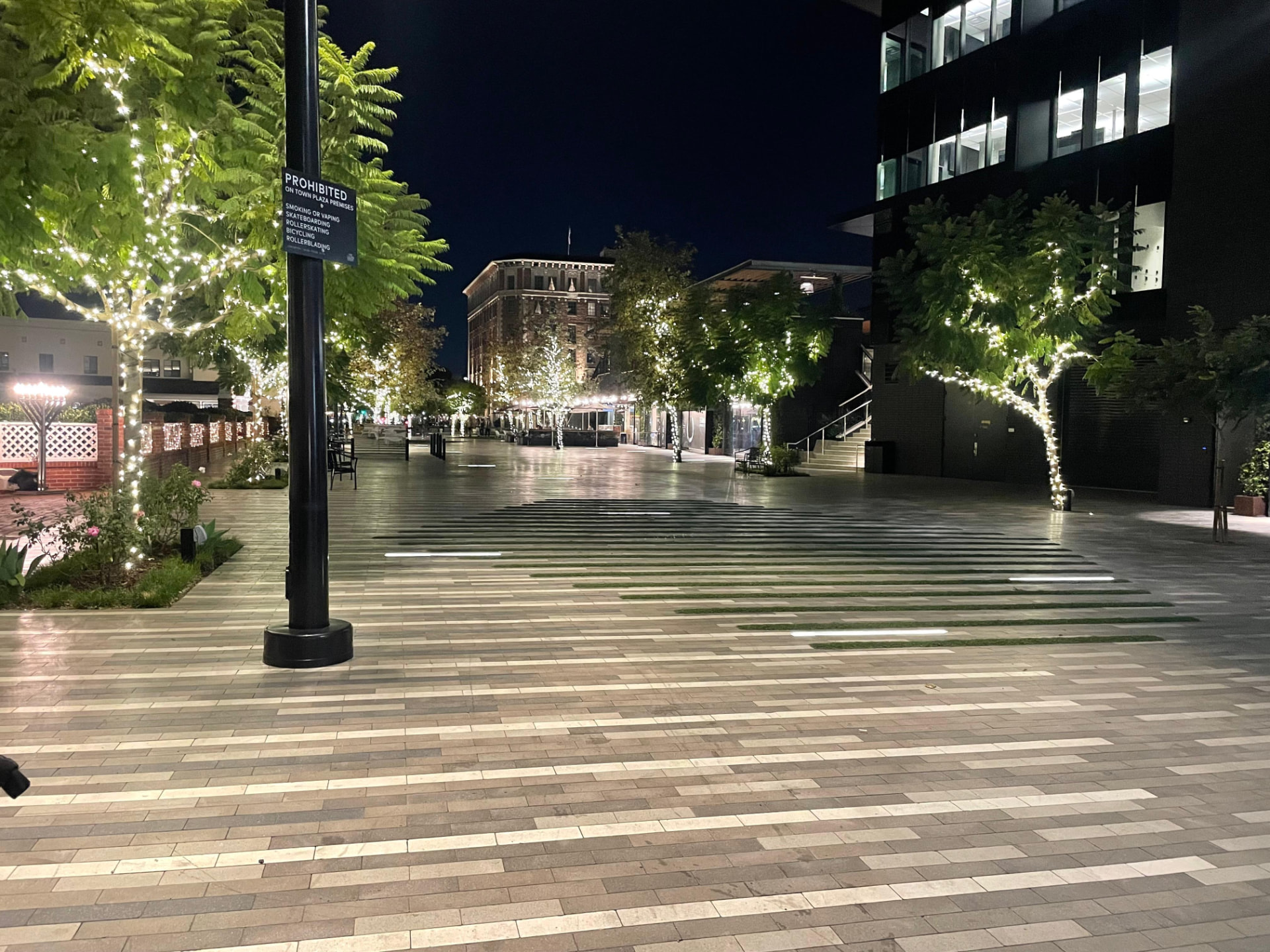 Landscape lighting project photo 6