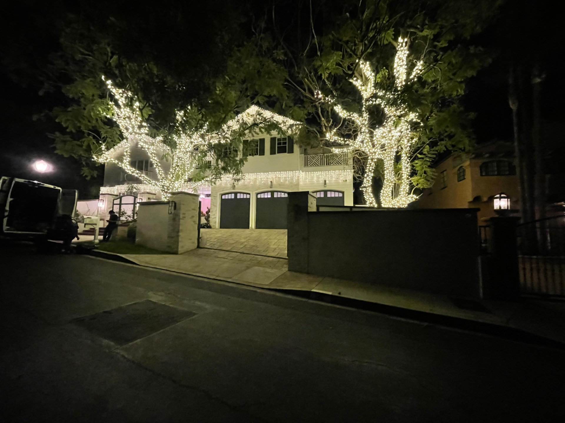 Landscape lighting project photo 7